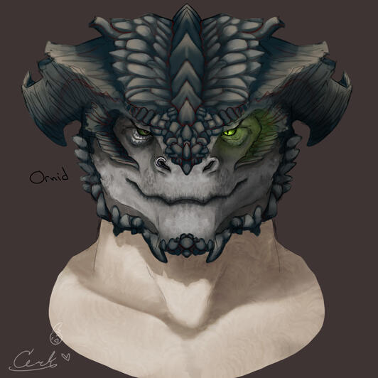 BG3 Original Character Headshot: Ornid the Dragonborn