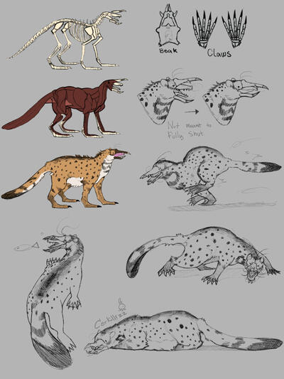 Chimera Concept
