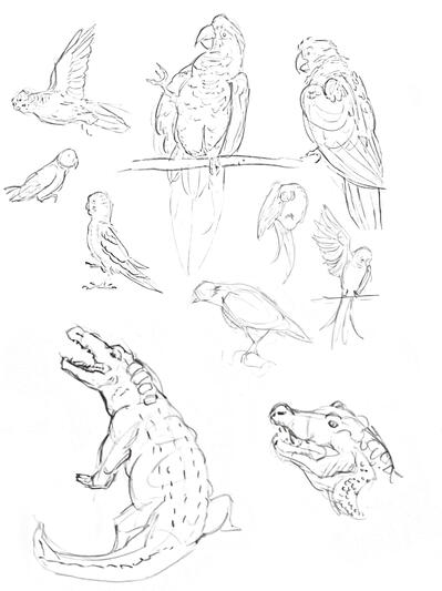 Class Studies
