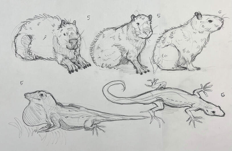 Zoo Visit 5 Minute